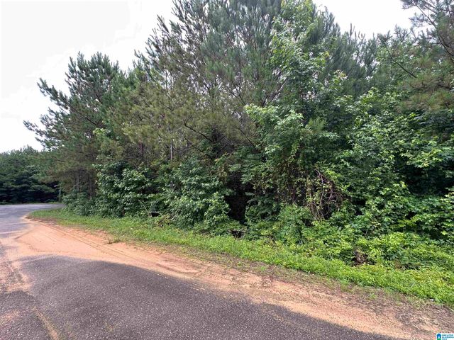 290 VIRGINIA WAY, Odenville, AL 35004