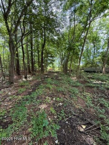 1805 Front Street, Burgaw, NC 28425