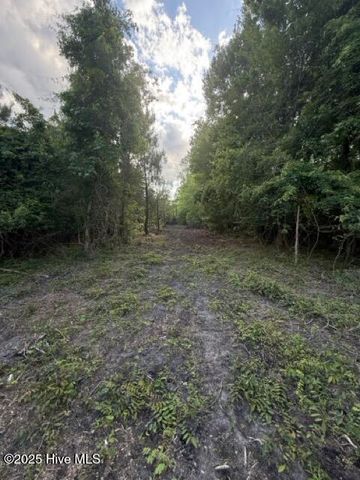 1805 Front Street, Burgaw, NC 28425