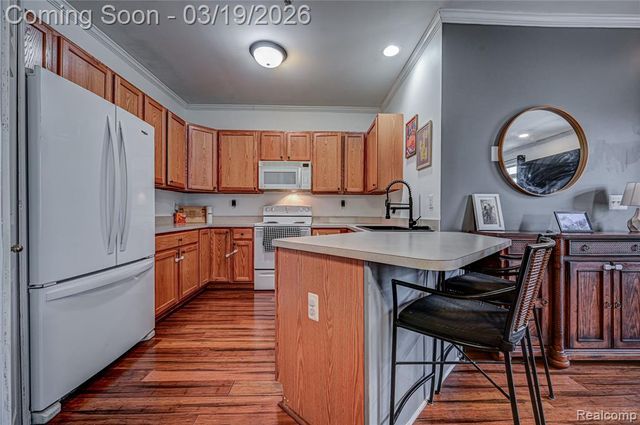 25703 Maritime Circle, Harrison Twp, MI 48045