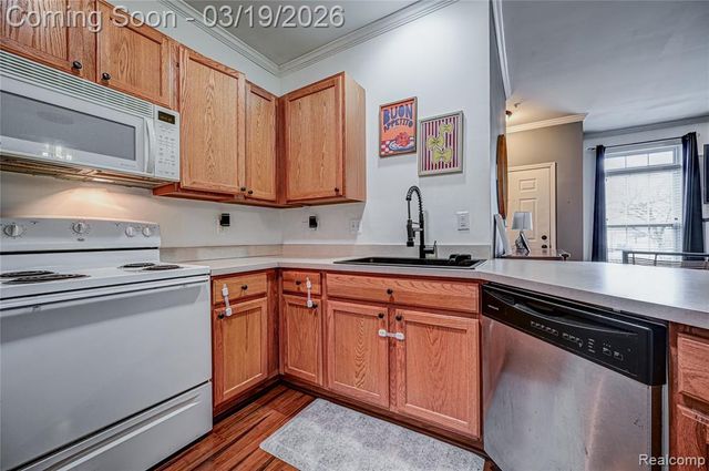 25703 Maritime Circle, Harrison Twp, MI 48045