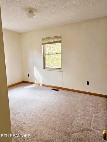 240 W Rockwood Ferry Rd, Ten Mile, TN 37880