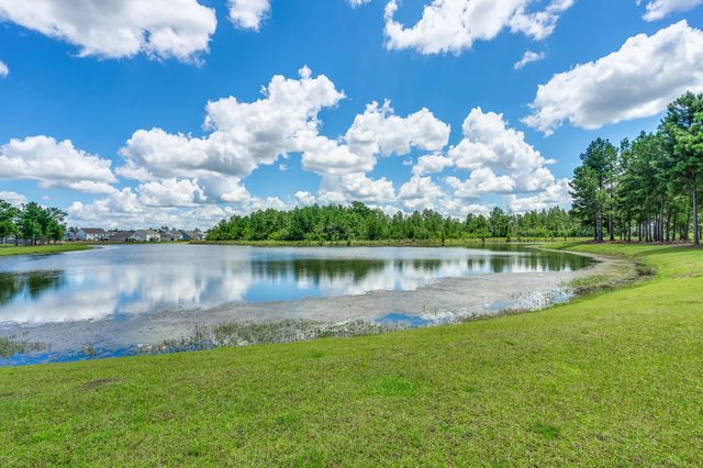 215 Shortmarsh Street, Summerville, SC 29486