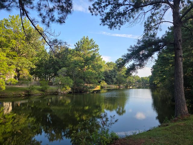 3491 Toomer Kiln Circle, Mount Pleasant, SC 29466