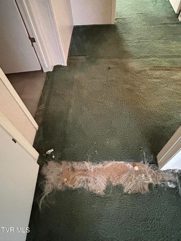 1861 Corby Bridge Road, Chuckey, TN 37641