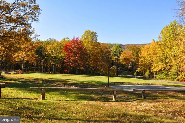 603 PANTHER DR, Winchester, VA 22602