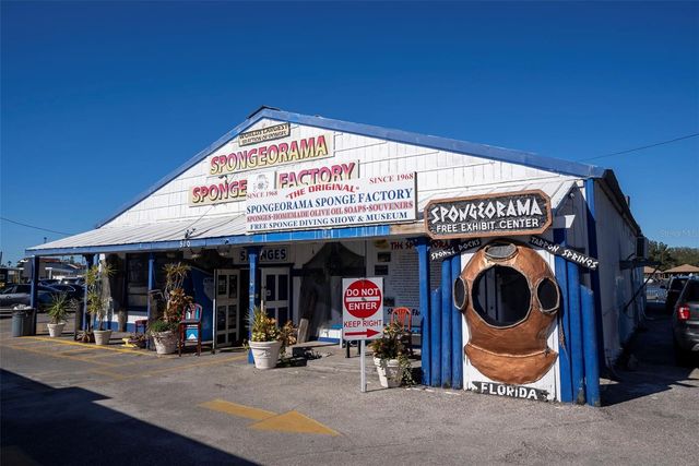 112 S FLORIDA AVENUE, Tarpon Springs, FL 34689