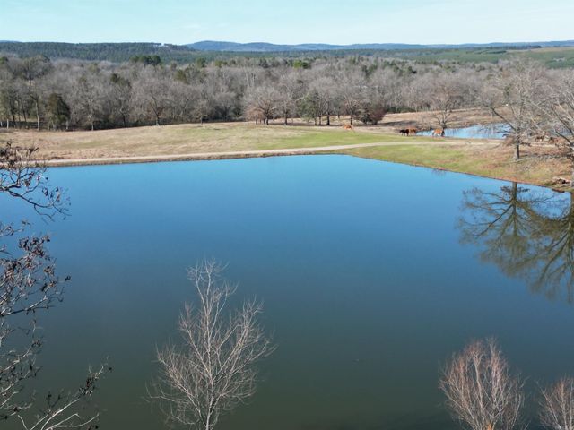 4487 HWY 95, Cleveland, AR 72030