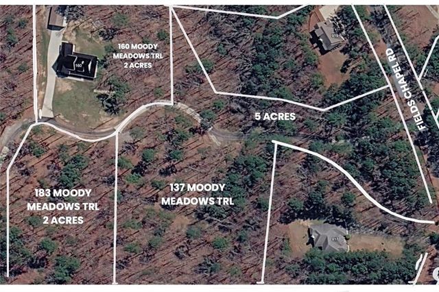 160 Moody Meadows Trail, Canton, GA 30114