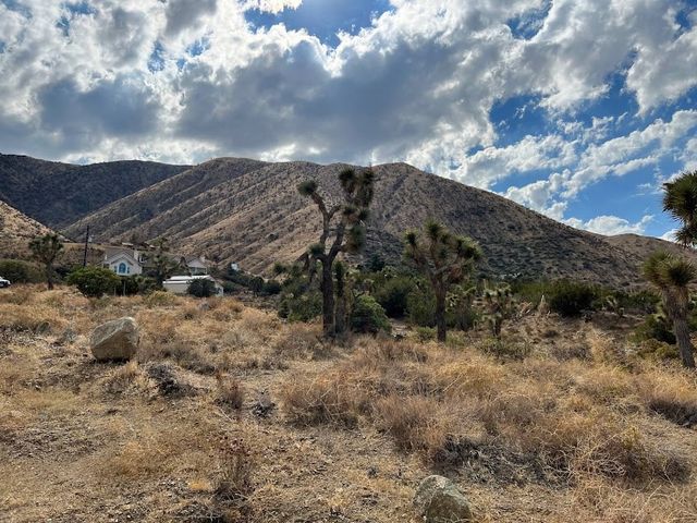 11890 Juniper Hills, Littlerock, CA 93543