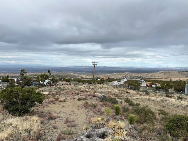 11890 Juniper Hills, Littlerock, CA 93543