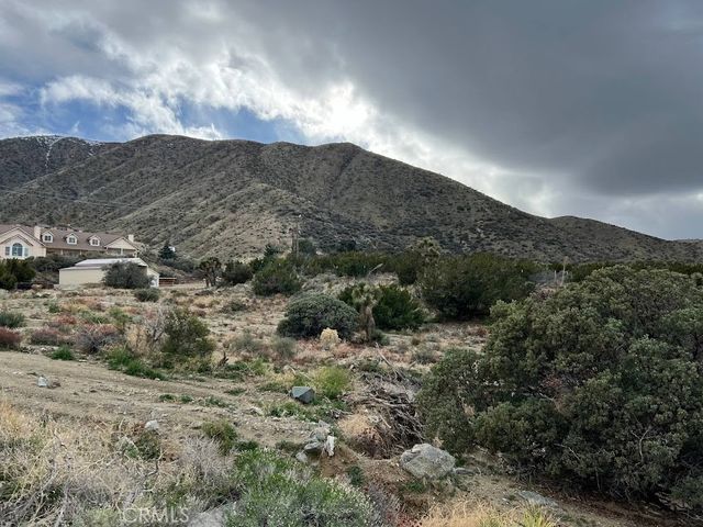 11890 Juniper Hills, Littlerock, CA 93543