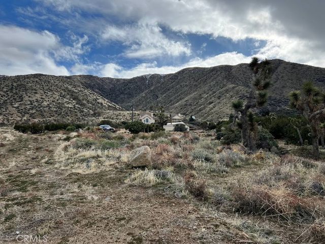 11890 Juniper Hills, Littlerock, CA 93543