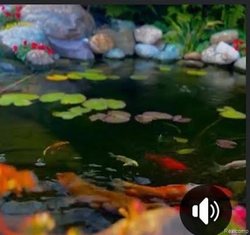 32863 Beacon Lane, Fraser, MI 48026