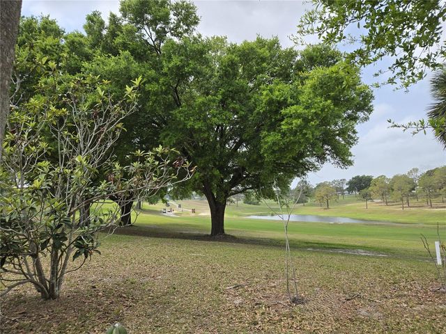 2458 PUTTER ROAD 1610, Zellwood, FL 32798