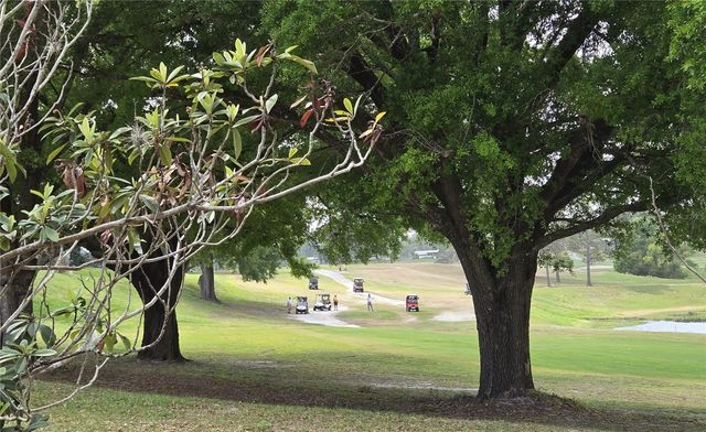 2458 PUTTER ROAD 1610, Zellwood, FL 32798