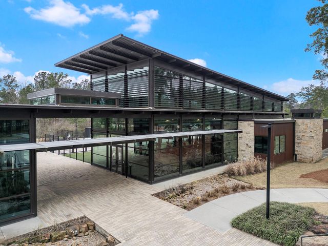 410 Elf Owl Court, Willis, TX 77318