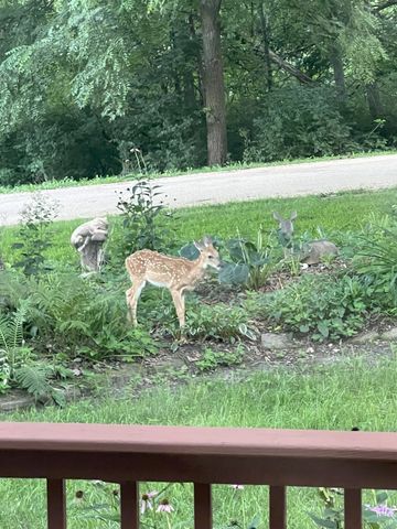 304 Wild Cherry Drive, Dixon, IL 61021