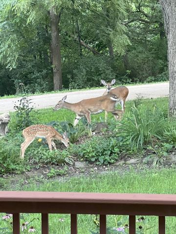 304 Wild Cherry Drive, Dixon, IL 61021