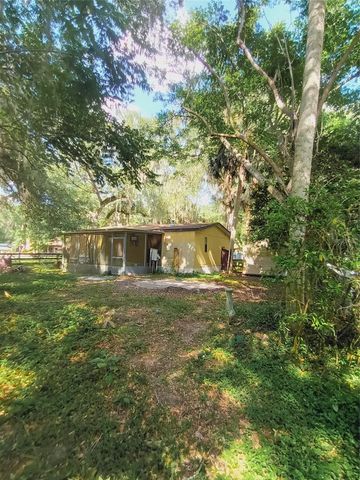 3128 CR 418, Lake Panasoffkee, FL 33538