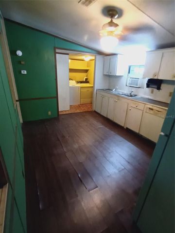 3128 CR 418, Lake Panasoffkee, FL 33538