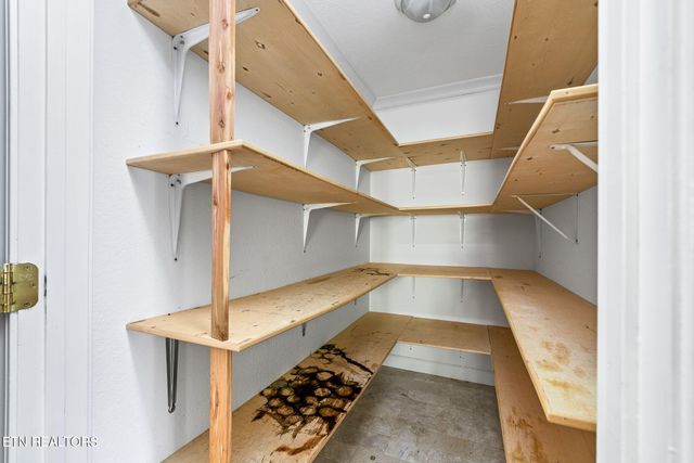 1161 Charlie Doss Rd, Jamestown, TN 38556