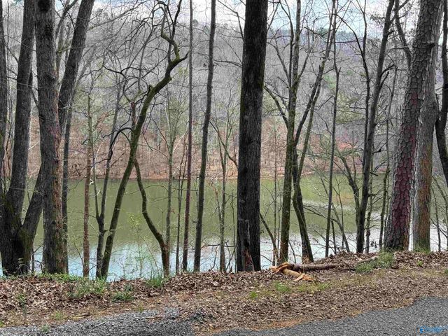 384 Lawson Gap Road, Boaz, AL 35956