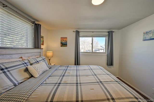 116 Dartmouth Drive, Buena Vista, CO 81211