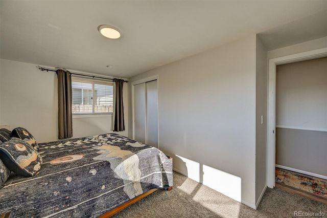 116 Dartmouth Drive, Buena Vista, CO 81211