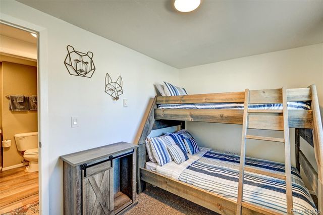 116 Dartmouth Drive, Buena Vista, CO 81211