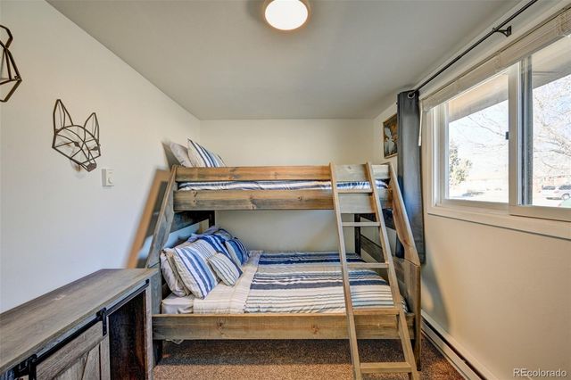116 Dartmouth Drive, Buena Vista, CO 81211