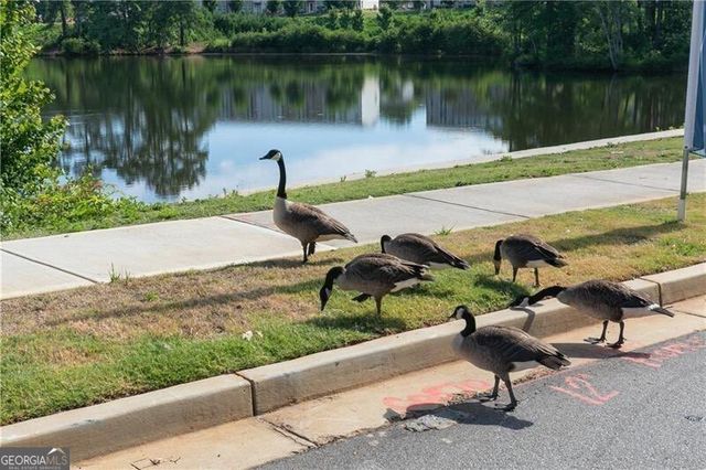 161 Jameson Drive, Acworth, GA 30102