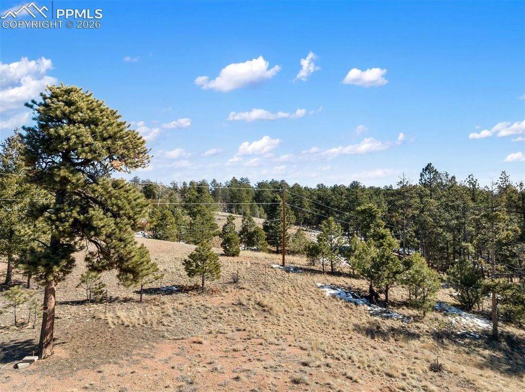 530 Columbine Road, Florissant, CO 80816 — exterior