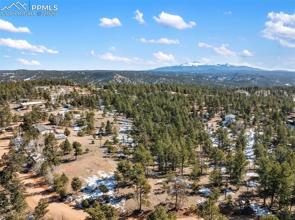 530 Columbine Road, Florissant, CO 80816 — photo 2