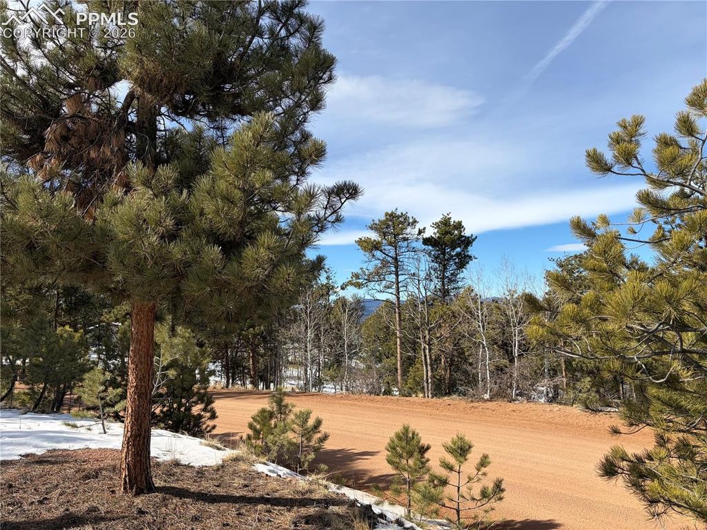 530 Columbine Road, Florissant, CO 80816 — photo 3