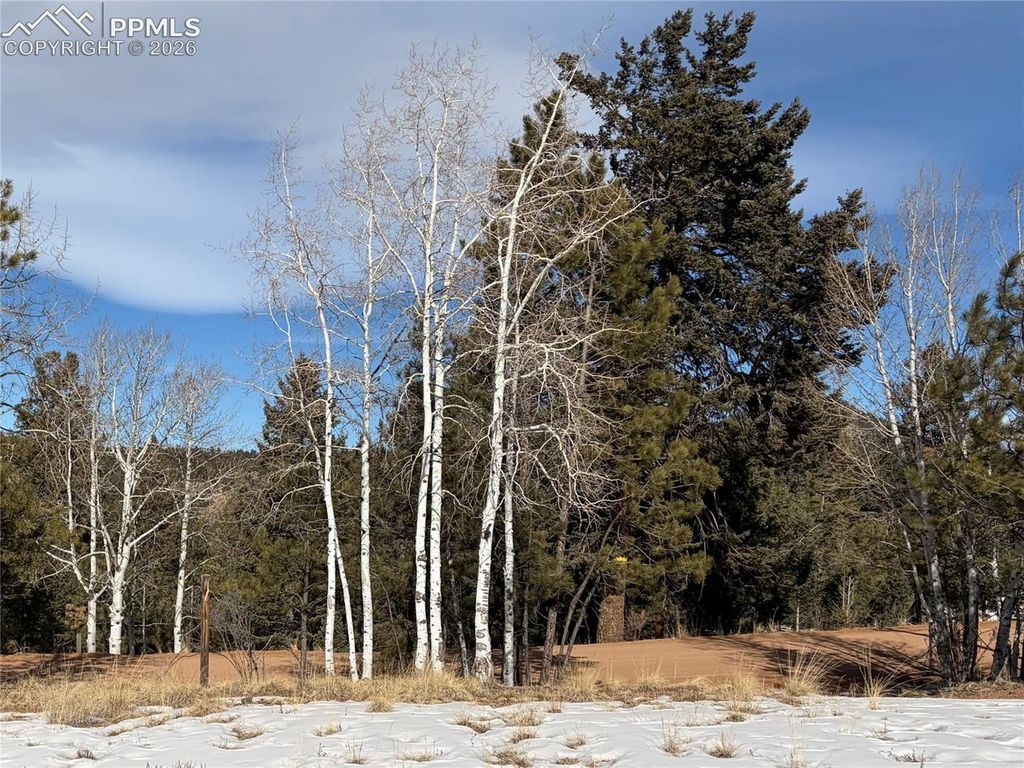530 Columbine Road, Florissant, CO 80816 — photo 4