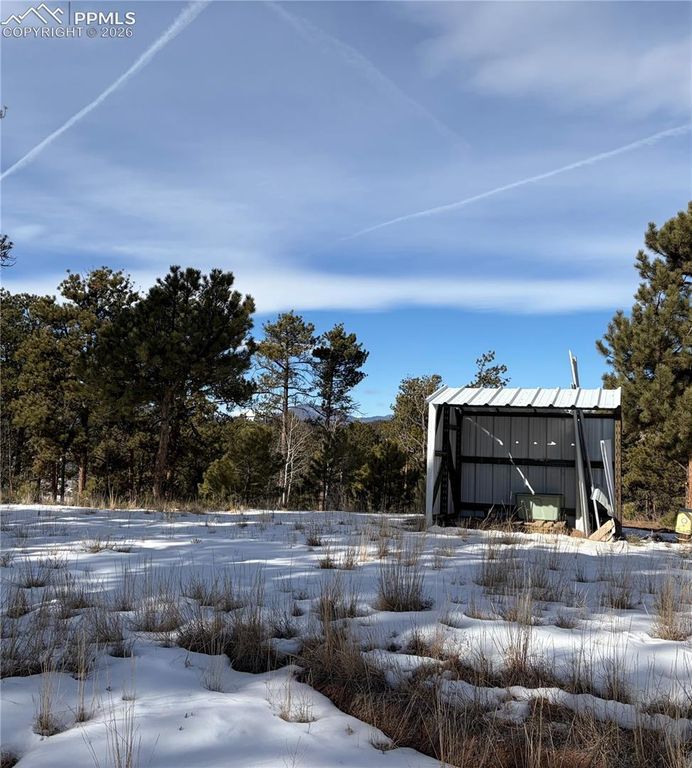 530 Columbine Road, Florissant, CO 80816 — photo 5