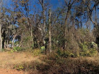 00 FAYE STREET, Hawthorne, FL 32640