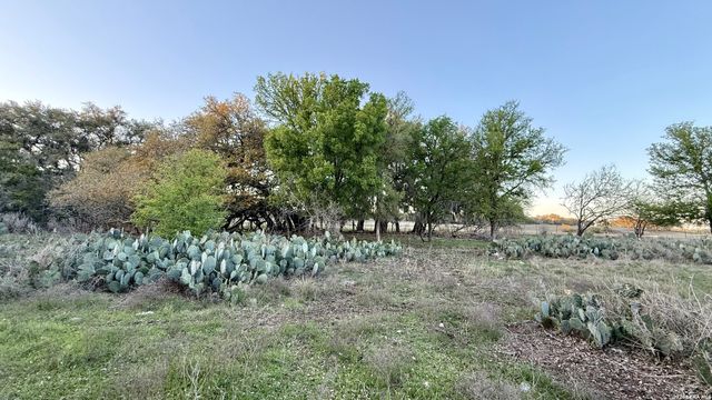 638 Cool Spring Drive, Spring Branch, TX 78070