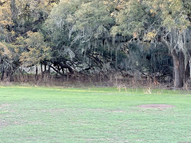 638 Cool Spring Drive, Spring Branch, TX 78070