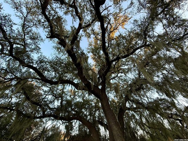 638 Cool Spring Drive, Spring Branch, TX 78070