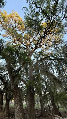 638 Cool Spring Drive, Spring Branch, TX 78070