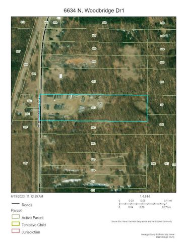 6634 N Woodbridge Road, White Cloud, MI 49349