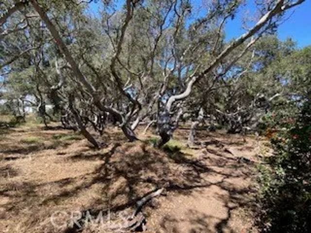 1595 Los Osos Valley 4A, Los Osos, CA 93402