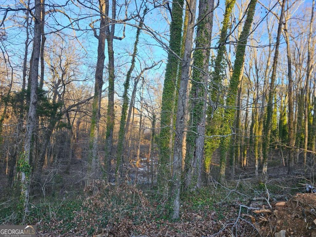 3060 Highway 20 SE, Conyers, GA 30013