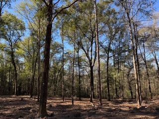 0 Danner Road, Wilmer, AL 36587