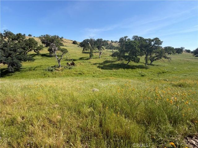 1991 Ca-140, Catheys Valley, CA 95306