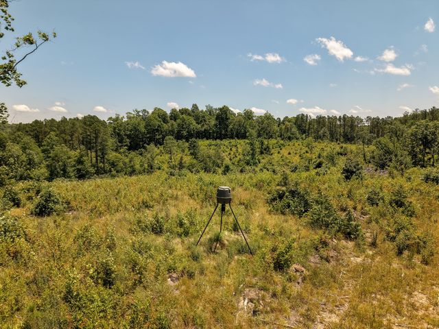 111 Adaleighs Way, Big Sandy, TN 38221