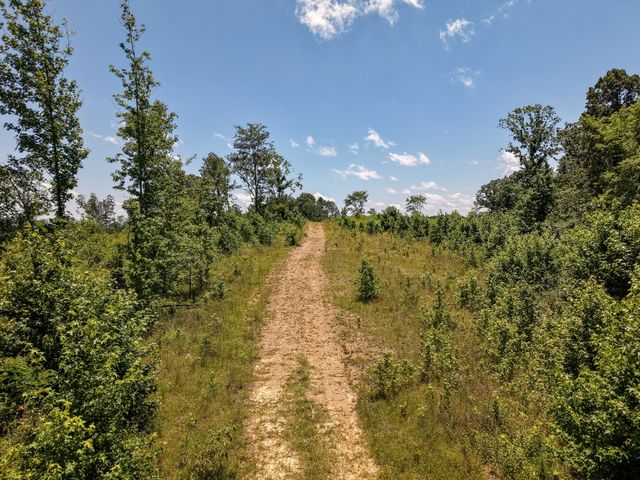 111 Adaleighs Way, Big Sandy, TN 38221