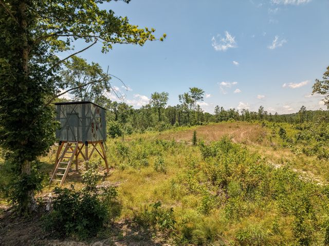 111 Adaleighs Way, Big Sandy, TN 38221